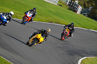 anglesey;brands-hatch;cadwell-park;croft;donington-park;enduro-digital-images;event-digital-images;eventdigitalimages;mallory;no-limits;oulton-park;peter-wileman-photography;racing-digital-images;silverstone;snetterton;trackday-digital-images;trackday-photos;vmcc-banbury-run;welsh-2-day-enduro